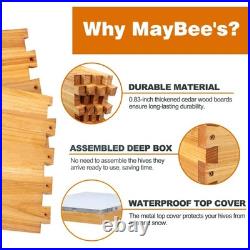 10Frame Hive Kit MayBee Beehive Starter Dipped Beeswax Hives Boxes Beekeeping