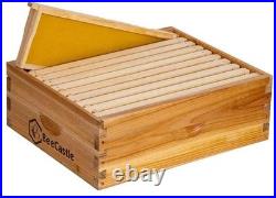 10 Frame Assembled Medium Honey Super Bee Hive Box with Beehive 10-Frame