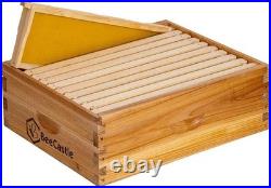 10 Frame Assembled Medium Honey Super Bee Hive Box with Beehive 10-Frame