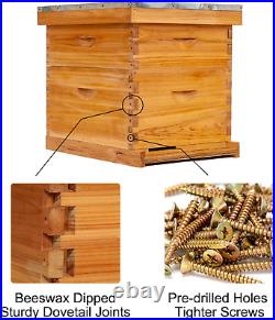 10-Frame Bee Hive 1 Brood Beehive Box and 1 Medium Bee Hive Super Box, Bee Hives