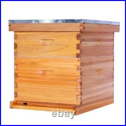 10 Frame Bee Hive Beeswax Coated Beehive Kit POLLIBEE Keeper Complete Include 10 Frame Bee Hive Beeswax Coated Beehive Kit POLLIBEE Keeper Complete Include