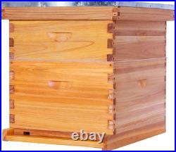 10 Frame Bee Hive, Beeswax Coated Beehive Kit for Bee Keeper, Complete Beehive