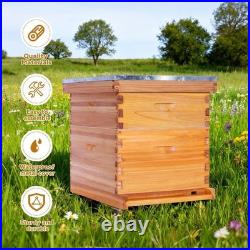10 Frame Bee Hive, Beeswax Coated Beehive Kit for Bee Keeper, Complete Beehive