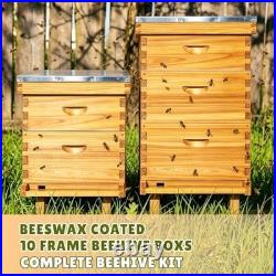 10-Frame Bee Hive Complete Beehive Kit Beeswax Coated Beehive Include Frames