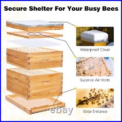 10 Frame Bee Hive Complete Beehive Kit, Honey Bee Hives Includes 1 Deep Bee Boxes