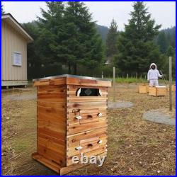 10 Frame Bee Hive Starter Kit 2 Deep 1 Medium Boxes with Windows for Beekeepers