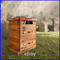 10 Frame Bee Hive Starter Kit 2 Deep 1 Medium Boxes with Windows for Beekeepers