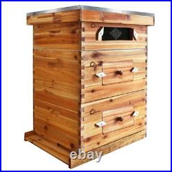 10 Frame Bee Hive Starter Kit 2 Deep 1 Medium Boxes with Windows for Beekeepers