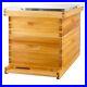 10_Frame_Bee_Hive_Starter_Kit_Complete_Beehive_Kit_for_Beekeepers_Dipped_in_01_nhew