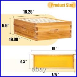 10 Frame Bee Hive Starter Kit, Complete Beehive Kit for Beekeepers Dipped in