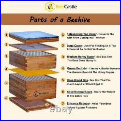 10 Frame Beehive Kit Beeswax Coated Foundation Sheets Bee Hive 2 Layer