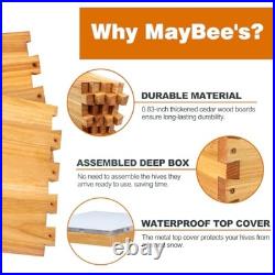 10-Frame Beehive Starter Kit, Bee Hive Kit Dipped in 100% 10Frame Hive Kit