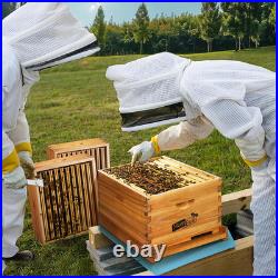 10-Frame Beehive Starter Kit, Bee Hive Kit Dipped in 100% Beeswax, Bee Hives Box
