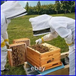 10-Frame Beehive Starter Kit, Bee Hive Kit Dipped in Beeswax, Bee Hives Boxes St