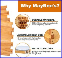 10-Frame Beehive Starter Kit, Bee Hive Kit Dipped in Beeswax, Bee Hives Boxes St