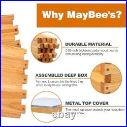 10-Frame Beehive Starter Kit, Bee Hive Kit Dipped in Beeswax, Bee Hives Boxes St