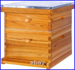 10-Frame Beehives Starter Kit Complete Langstroth Hive with 1 Deep Brood Box &