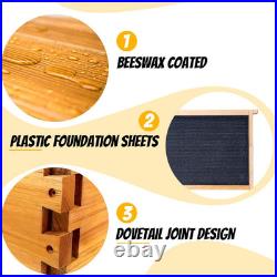 10-Frame Beehives Starter Kit Complete Langstroth Hive with 1 Deep Brood Box &