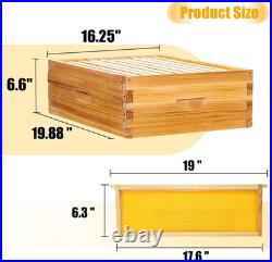10-Frame Beehives Starter Kit Complete Langstroth Hive with 1 Deep Brood Box &