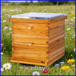 10-Frame Beehives Starter Kit Complete Langstroth Hive with 1 Deep Brood Box &