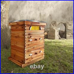 10-Frame Beekeeping Beehive Kit Wax Coated 2 Deep Box 1 Medium Bee Box with Window