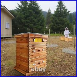 10-Frame Beekeeping Beehive Kit Wax Coated 2 Deep Box 1 Medium Bee Box with Window
