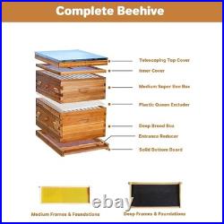 10-Frame Complete Beehive Wax Coated Bee Hives 1 Deep Box 1 Medium Box