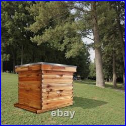 10-Frame Complete Beehive Wax Coated Bee Hives Beekeeping with Beehives Frame