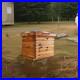 10_Frame_Complete_Beehive_Wax_Coated_Bee_Hives_for_Beginner_with_Beehives_Frame_01_eq
