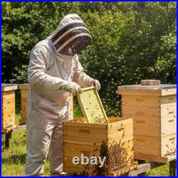 10 Frame Deep Beehive Box Langstroth Deep Brood Box 100% Dipped in Beeswax, Bee