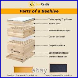 10 Frame Langstroth Bee Hive, Beehive Starter Kit for Beginners with Beehive