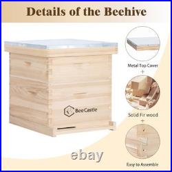10 Frame Langstroth Bee Hive, Beehive Starter Kit for Beginners with Beehive