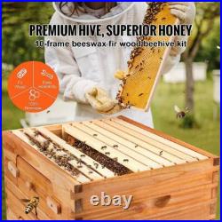 10 Frame Langstroth Beehive Wooden Bee Hive House Brood Box Beekeeper Beekeeping