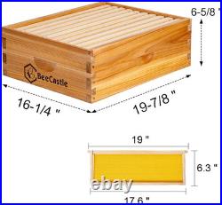10 Frame Medium Super Bee Hive Box, Langstroth Honey Bee Hive Dipped in 100% Bee