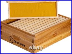 10 Frame Medium Super Bee Hive Box, Langstroth Honey Bee Hive Dipped in 100% Bee