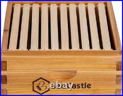 10 Frame Medium Super Bee Hive Box, Langstroth Honey Bee Hive Dipped in 100% Bee