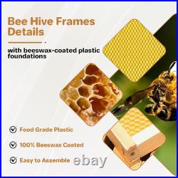 10 Frame Medium Super Bee Hive Box, Langstroth Honey Bee Hive Dipped in 100% Bee