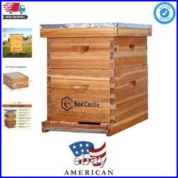 10-Frames Complete Beehive Kit, 100% Beeswax Coated Bee Hive Includes Beehive