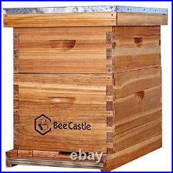 10-Frames Complete Beehive Kit, 100% Beeswax Coated Bee Hive Includes Beehive