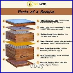 10-Frames Complete Beehive Kit, 100% Beeswax Coated Bee Hive Includes Beehive