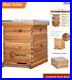 10_Frames_Complete_Beehive_Kit_100_Beeswax_Coated_Bee_Hive_includes_Beehive_01_pyp