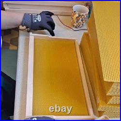 10 Pack Langstroth Beehive Frames With Foundation For Beekeeping