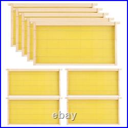 10 Pack Langstroth Beehive Frames With Foundation For Beekeeping
