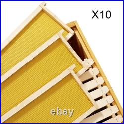10 Pack Langstroth Beehive Frames With Foundation For Beekeeping