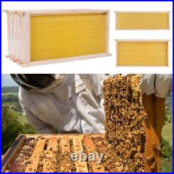 10 Pack Langstroth Beehive Frames With Foundation For Beekeeping