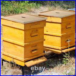 10 Pcs Beehive Inner Cover for 10 Frame Hive Box Cover with Feeding