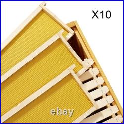 10pcs Assembled Langstroth Brood Bee Hive Frames and Foundation Honey Comb Frame