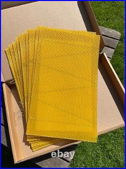 120pcs National Bee Hive Brood Wired Wax Foundation Sheets Norfolk Beekeeping