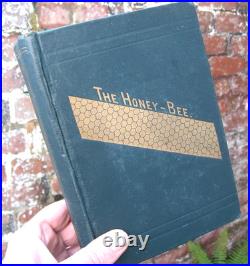 1919 Langstroth on the Hive and Honey Bee