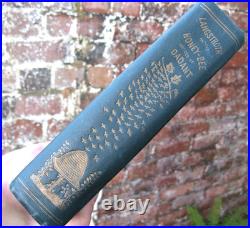 1919 Langstroth on the Hive and Honey Bee